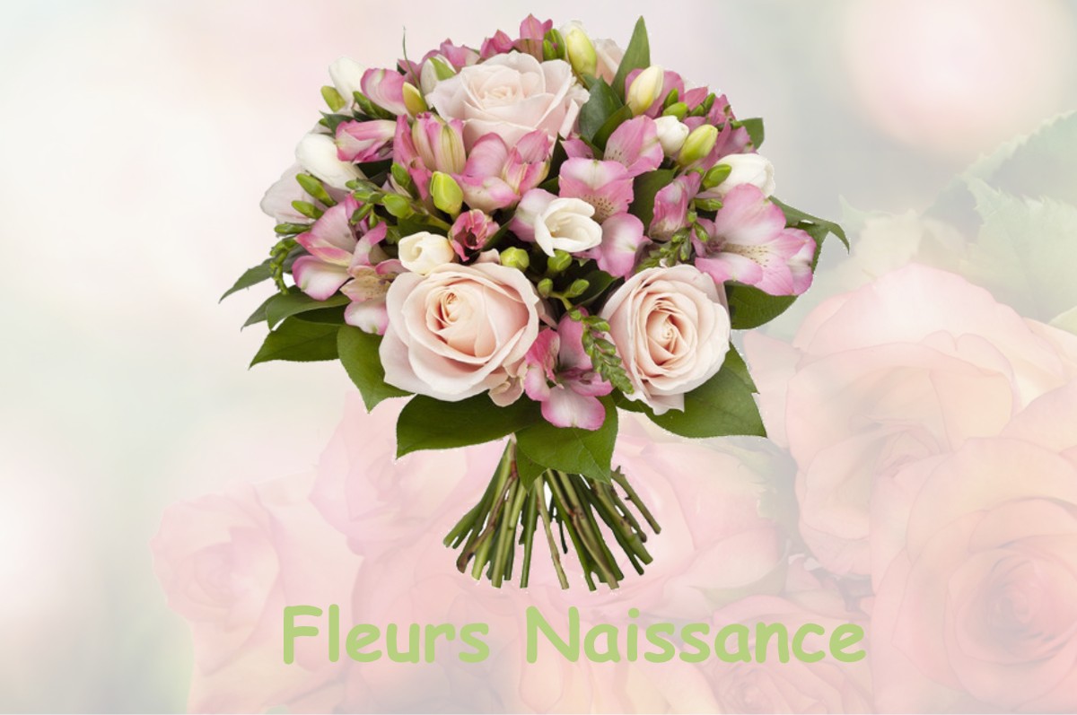 fleurs naissance BELLESSERRE