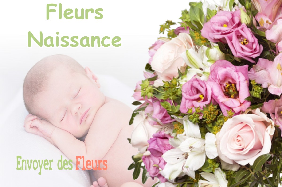 lIVRAISON FLEURS NAISSANCE à BELLESSERRE